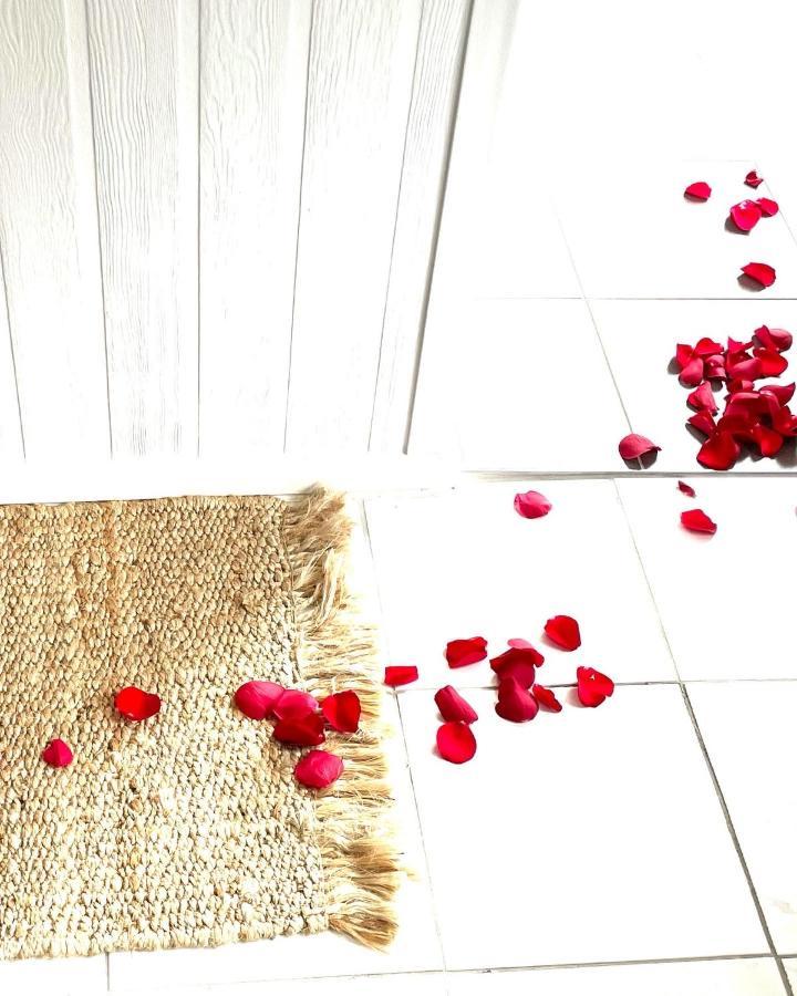 Churchill'S B&B Twin Spa Getaway Studio Swansea Exteriér fotografie